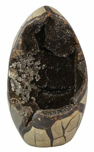 Polished Septarian Geode Sculpture - Black Crystals #45203